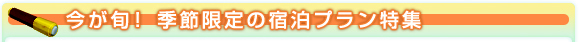 今が旬！季節限定の宿泊プラン特集